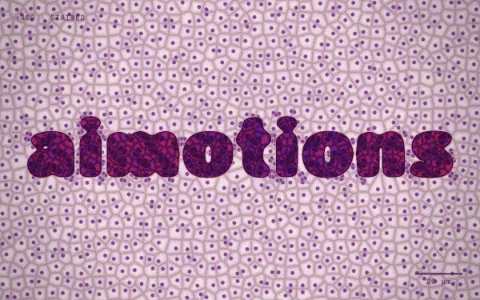 Preview frame of the Voronoi Cell Division animated text effect