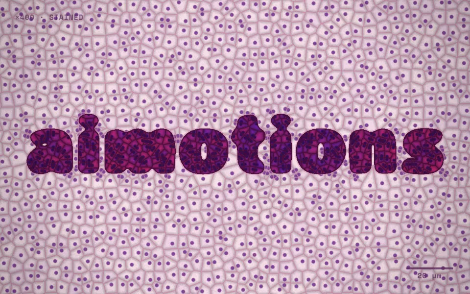 Voronoi Cell Division text animation: the word aimotions animated in this style